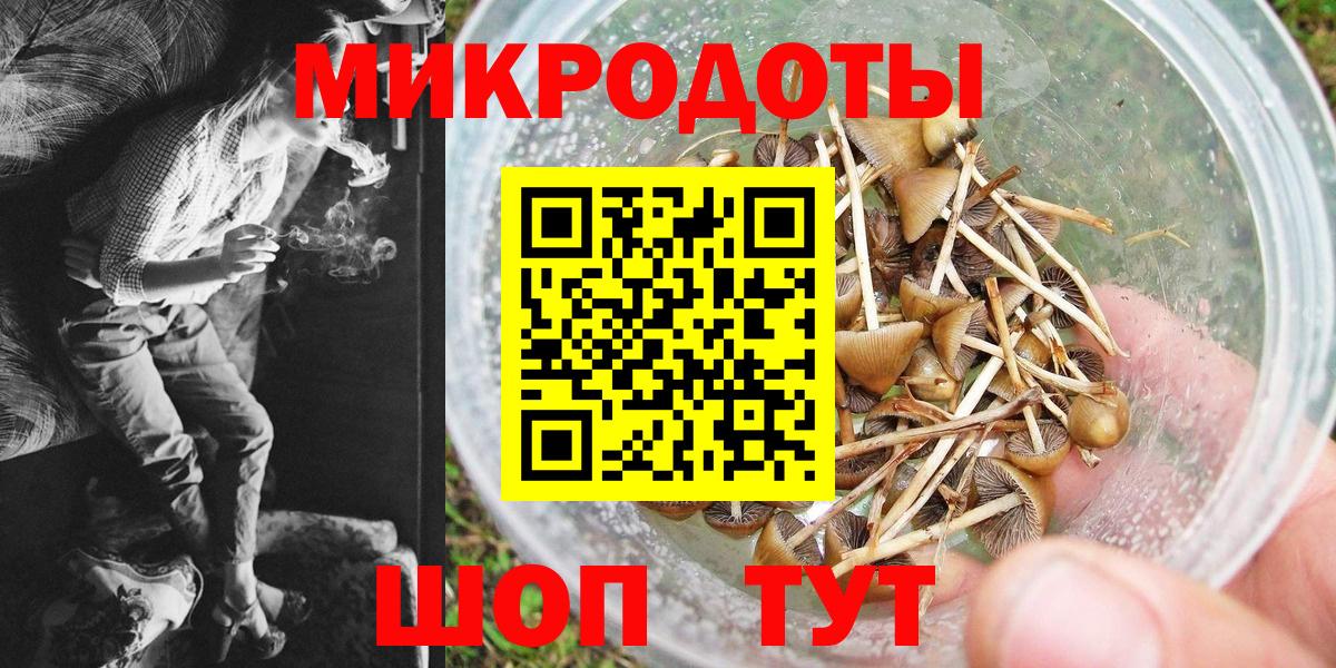 купить   Вход с VPN  Когалым  Псилоцибиновые грибы Magic Shrooms  Псилоцибиновые грибы прущие грибы 