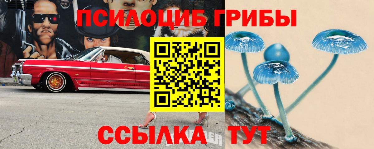 Псилоцибиновые грибы Psilocybine cubensis Когалым