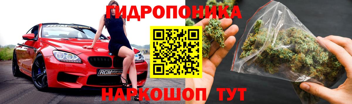 Канабис OG Kush  Бошки марихуана индика  Шишки марихуана план  Каннабис VHQ  Когалым  Вход с VPN 